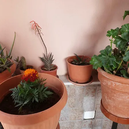 Appartamento Elinas Home *